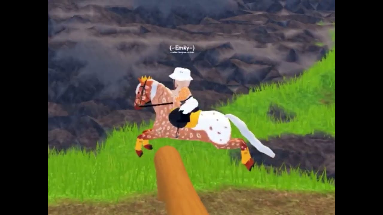 Walk Please! 🍊🎃🧡 Wild Horse Islands YouTube