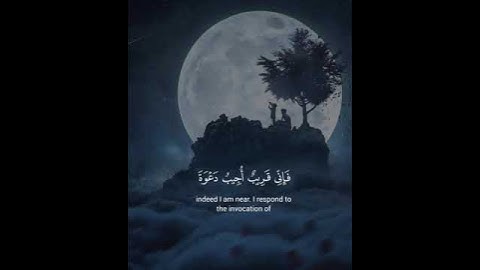 اكتب شيء تؤجر عليه ❤️😴 / القارئ عبد الباسط