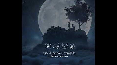اكتب شيء تؤجر عليه ❤️😴 / القارئ عبد الباسط