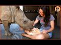 Baby Rhino Loses Her Mom — And Finds Comfort in the Strangest Friend
