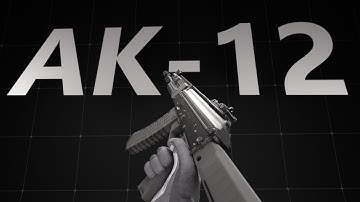 AK-12 First Person Animation