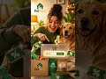 🐾 Cupom de desconto PetYard atualizado: ofertas em produtos pet