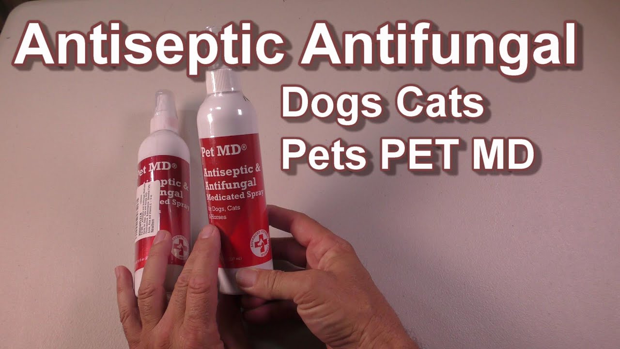 Antiseptic Antifungal Medicated Spray For Dogs Cats By Pet Md Review
