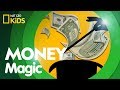 Eric's Money Transformation Insights
