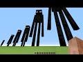 how big can enderman be?