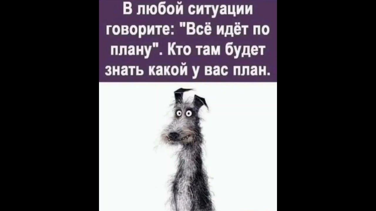 Почему все говорят о 24 апреля