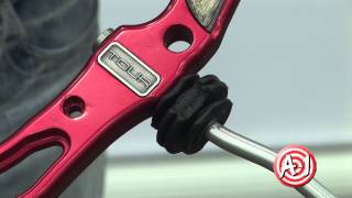 Bow Review - Elite Tour