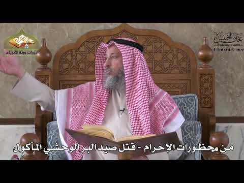 561 من محظورات الإحرام قتل صيد البر الوحشي المأكول عثمان الخميس