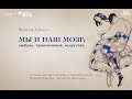 Лекция Вячеслава Дубынина «Мы и наш мозг: любовь, приключения, искусство»