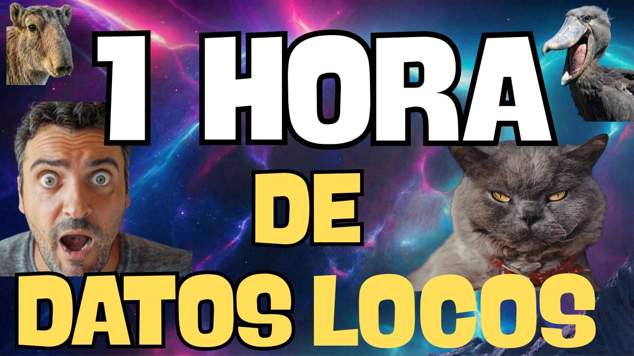 Una Hora de Curiosidades reales que la mayoría desconoce completamente