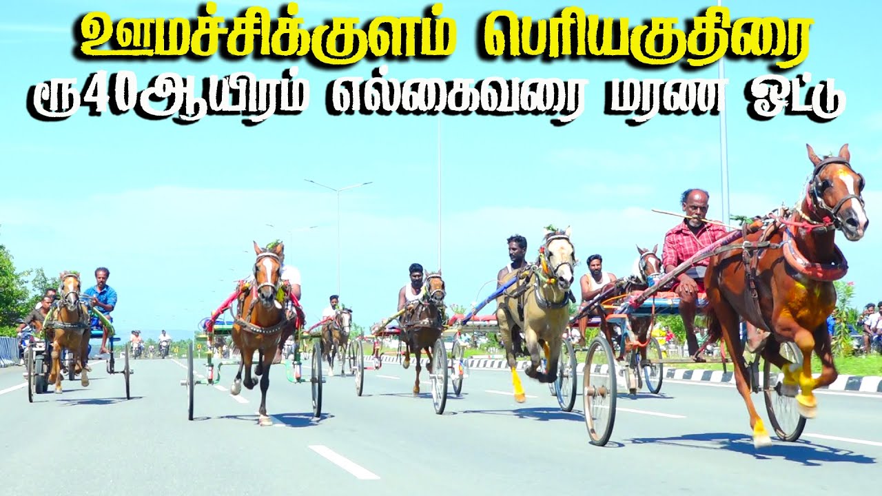 4ஊமச்சிக்குளம் பெரியகுதிரை பந்தயம்25.08.2024