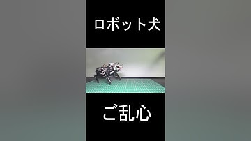 #robot #robotics #電子工作 #ESP32  #m5stack #ロボット  #ロボット犬