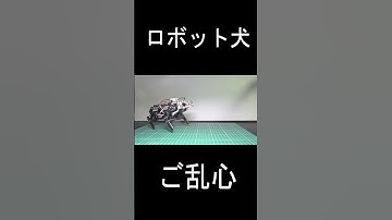 #robot #robotics #電子工作 #ESP32  #m5stack #ロボット  #ロボット犬