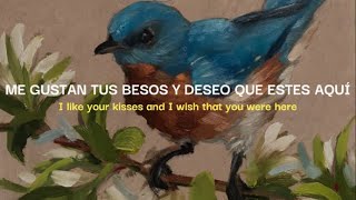 Bird song - Tessa Violet (Sub español)