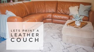 Taupe Leather Paint & Dye for Furniture