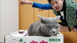『ポゥポゥおじさん冬服ver.』襲来！（0:55～　サビ）