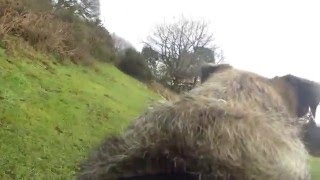 Flynns GoPro - Stockgrove / Rushmere County Park (24.01.16)
