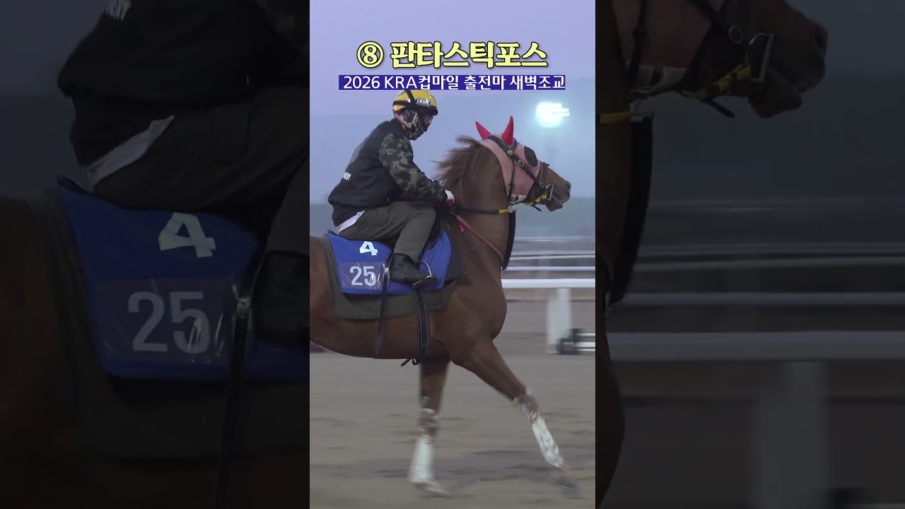 인터뷰 없어서 서운했던 #판타스틱포스 팬도 모여라ㅣ#KRA컵마일 #새벽조교