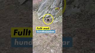 Bajs Regnade Över Stockholm