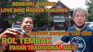 BERBURU BURUNG LOVEBIRD NGEKEK PANJANG & BURUNG JAWA PASAR BURUNG TRADISIONAL SOLO DARI DESA DI JAWA