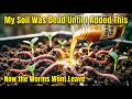 I Poured This "Liquid Gold" on My Garden… The Worm Population Doubled in Weeks!