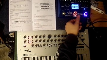 mooer ocean machine delay with korg minilogue test