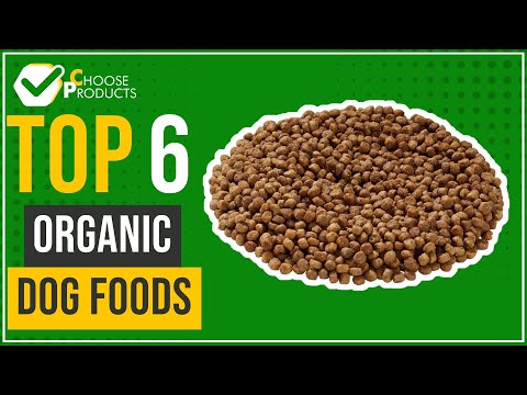 Organic dog foods