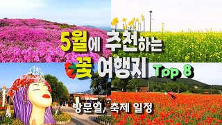 5월에 꼭 가봐야 할 꽃 여행지 추천 ㅣ방문일-만개시기 예측, 축제일정ㅣ장미꽃, 이팝나무꽃, 철쭉꽃,샤스타데이지......