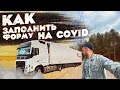 Дальнобой.Как заполнить форму на COVID в Литве. Со стажером по Европе. Дальнобой по Европе. Гиртека