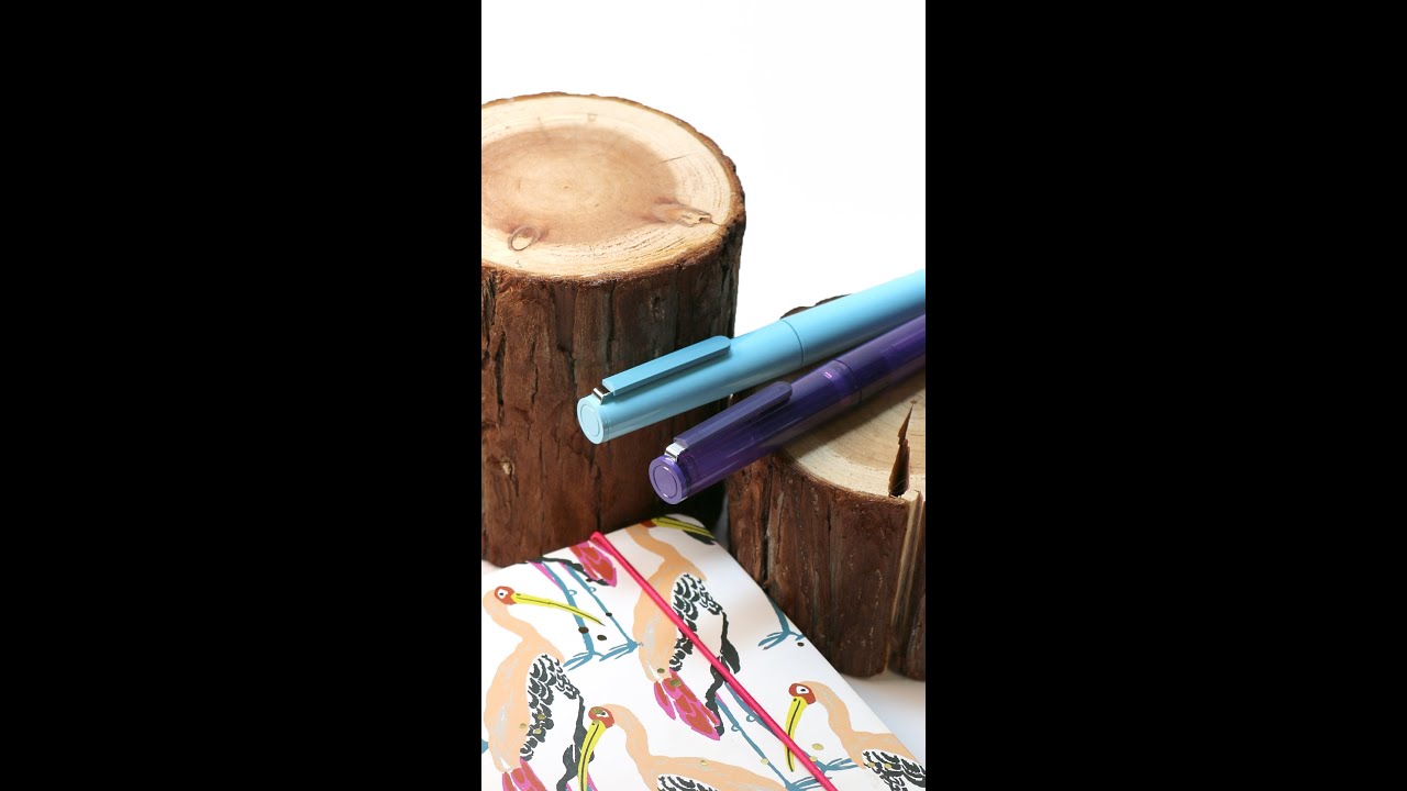 A Modern & Simple Design - Sailor Compass TUZU Adjust SE Fountain Pens