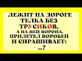 Телка Без Трусиков  и Мохнорылый Психолог! Подборка Ржачных Анекдотов!