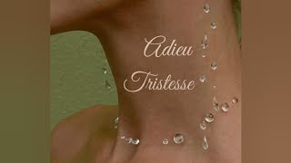 Adieu Tristesse ~ Zazie (Türkçe Çeviri) 