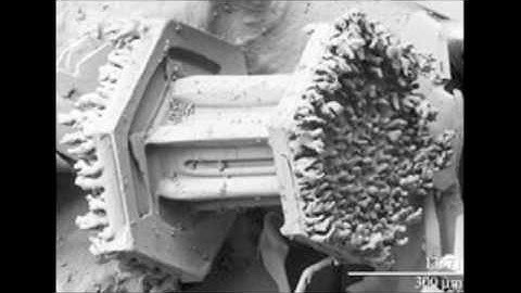 The science of snowflakes
