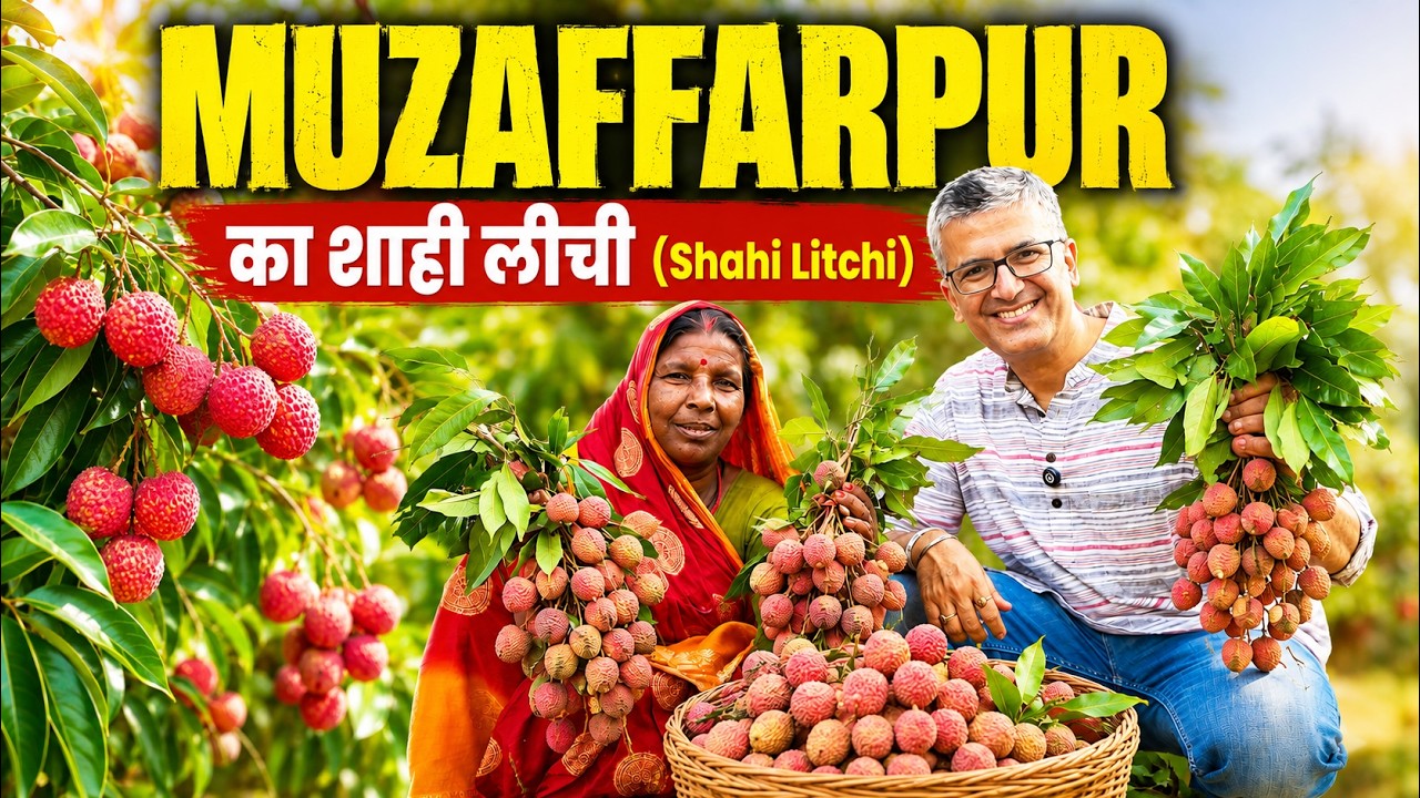 Latest Title & Thumbnail