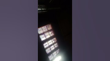 cút mồi chuẩn mới nhất