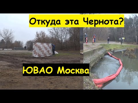 Video: When Will The Safari Park In The Moscow Region Open