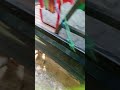 Gesung Aji Lama TULANG BAWANG LAMPUNG Gesung Aji Lama TULANG BAWANG LAMPUNG