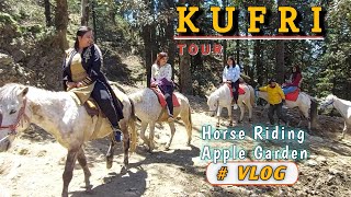 शिमला मे घुमने की जगह | सेब के बाग कुफरी | Kufri Adventure Park