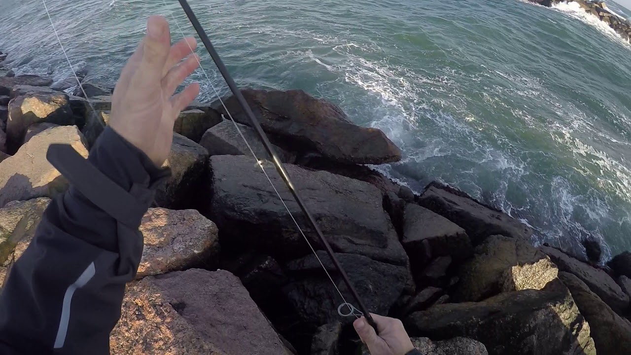 Westerly RI Striper Fishing 11/21/17 YouTube