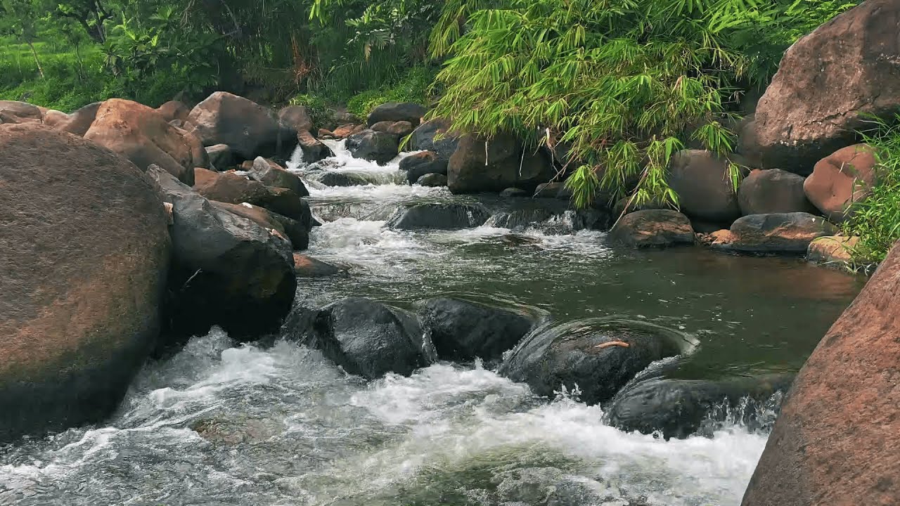 Peaceful Flow of a Forest River – Relaxing Nature Audio for Healing Sleep and Mindfulness