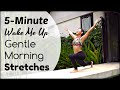 5-Minute Morning Stretches to Power Your Day