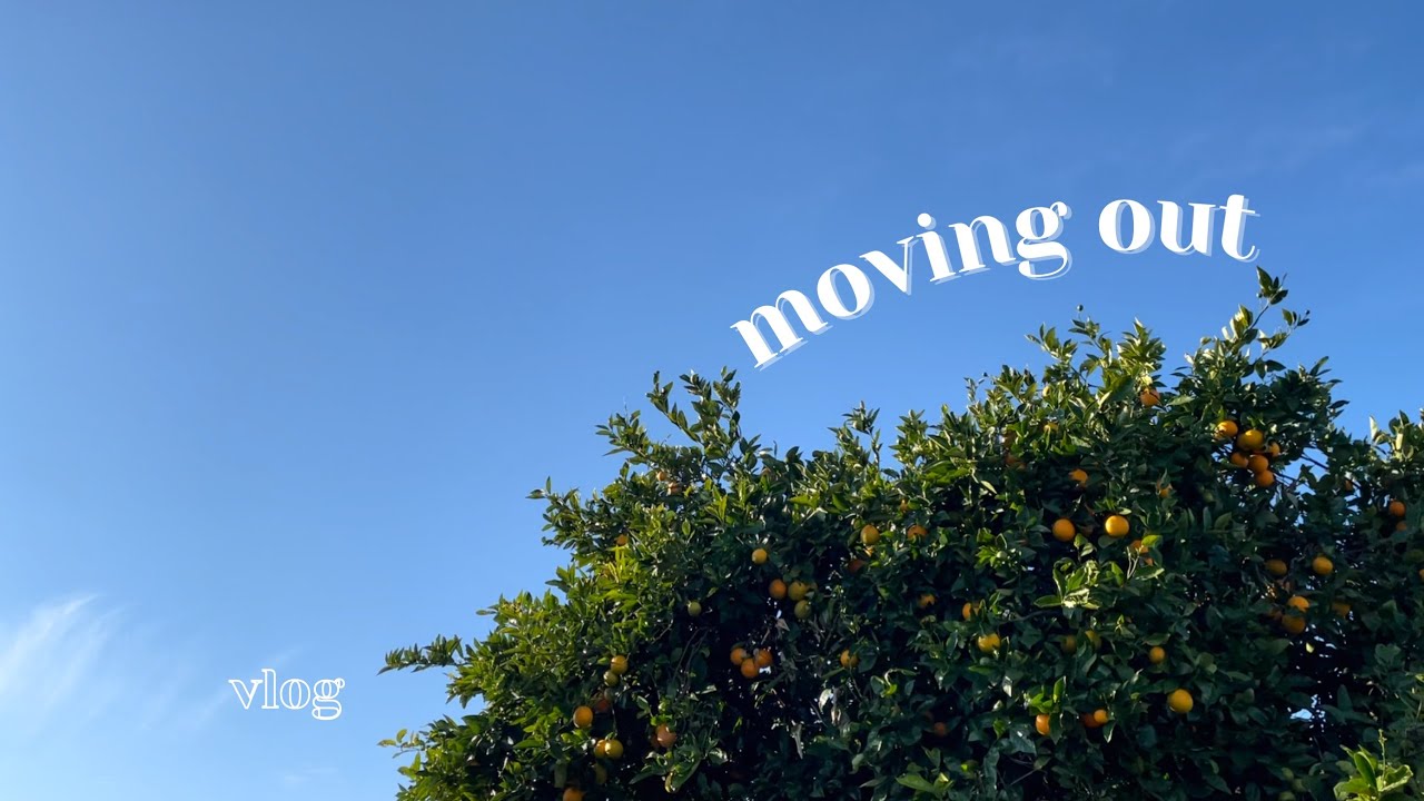 Melbourne vlog | moving out, settling in, lockdown in Melbourne, shopping, cooking ASMR