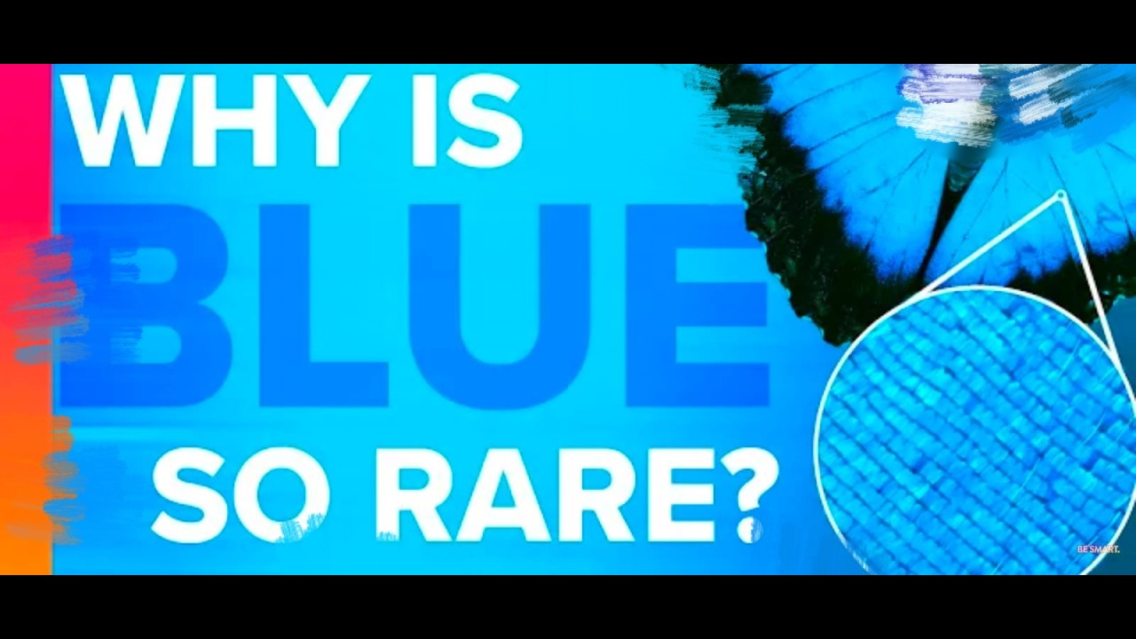 Why Is Blue so Rare In Nature ?