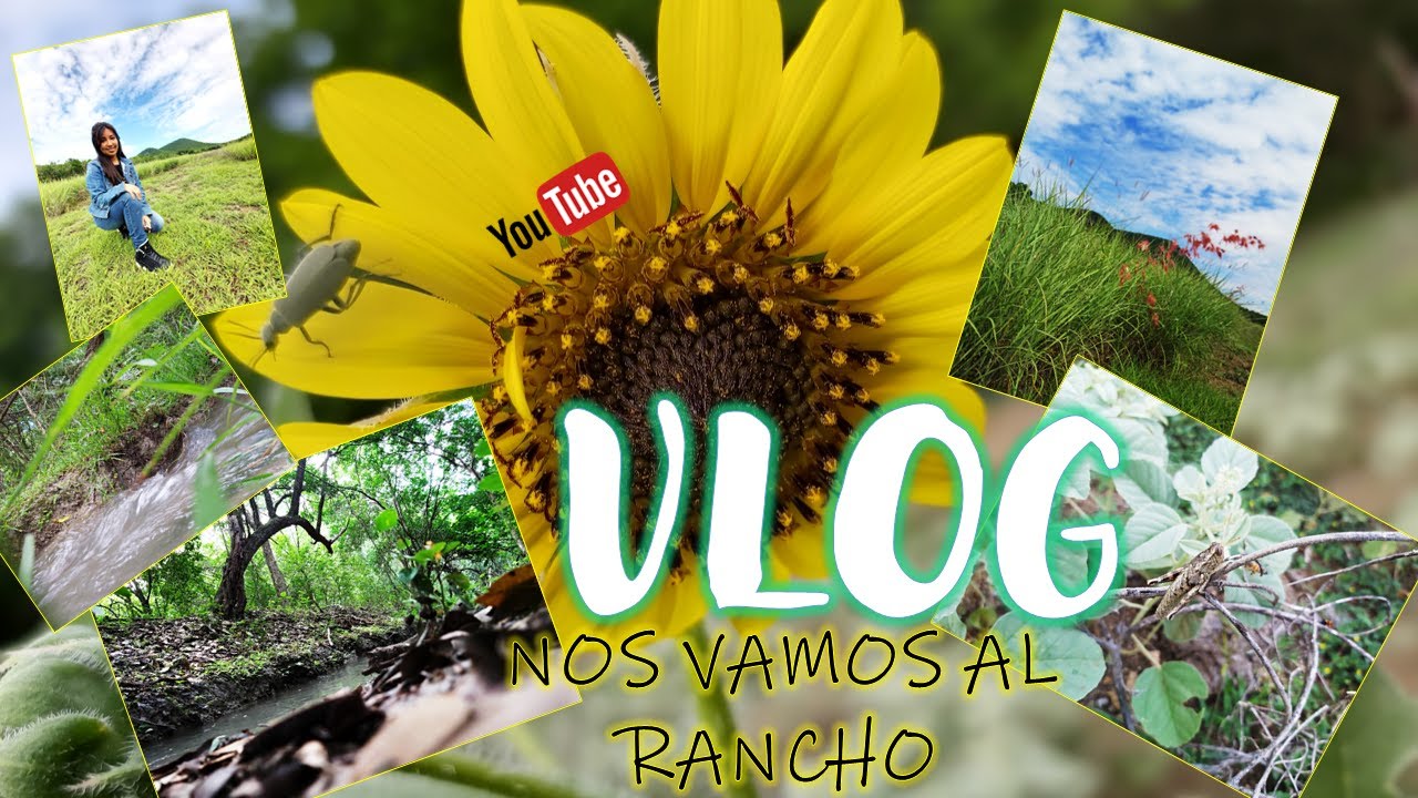#MIPrimerVlog