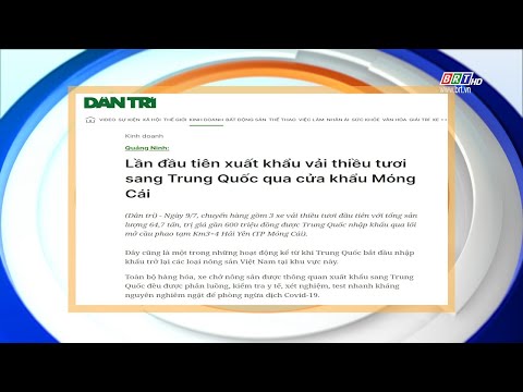 Video Tiêu điểm báo chí 11/7/2022 | BRTgo - youtube