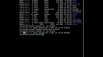 Red Hat Linux - chmod command - How to grant Read, Write, and execute permissions to groups