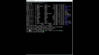 Red Hat Linux - chmod command - How to grant Read, Write, and execute permissions to groups