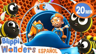 ¿De dónde viene la miel? | Blippi Wonders | Caricaturas para niños | Videos educativos para niños by Blippi Wonders Animación infantil  15,569 views 1 month ago 20 minutes