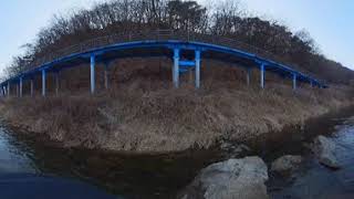 [신스타낚시브이로그] 브라운송어vr~연꽝탈출! 즐거운 설연휴 보내세요:)
