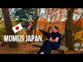 जापानमा यस्तो राम्रो थाऊ free मा हेर्न् मिल्ने もみじ BeautifulView in Japan | Nepali in Japan Vlog